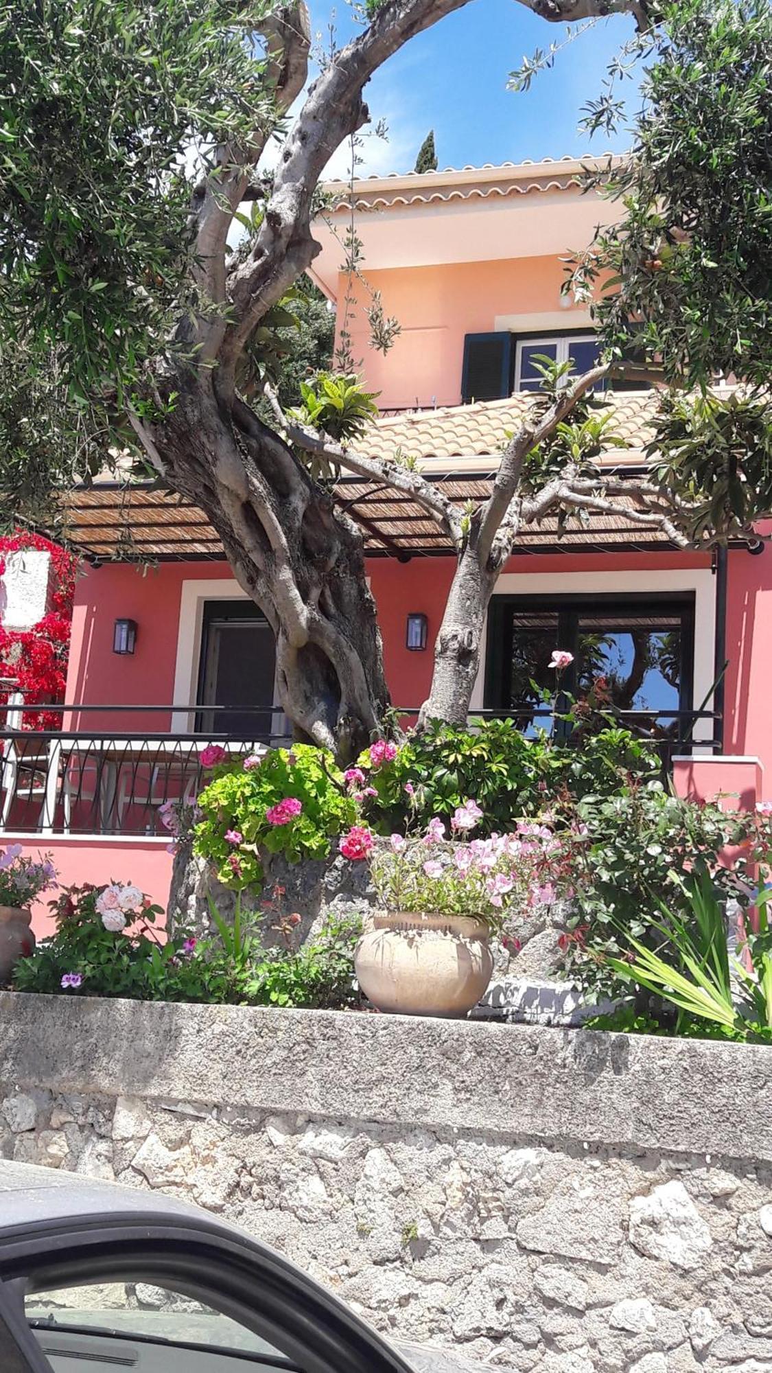 Rapanos Apartments Paleokastritsa Exterior foto